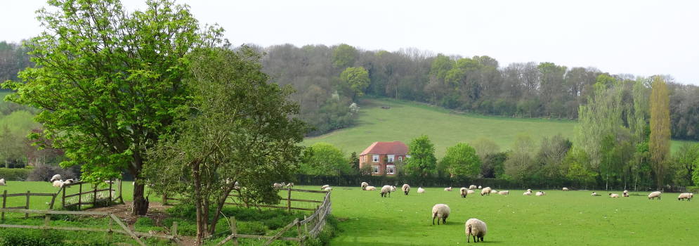 Heuvel en velden in de Cotswolds, Engeland