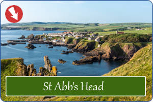 St Abb's Head